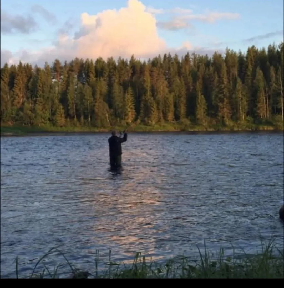Matias ute och flugfiskar